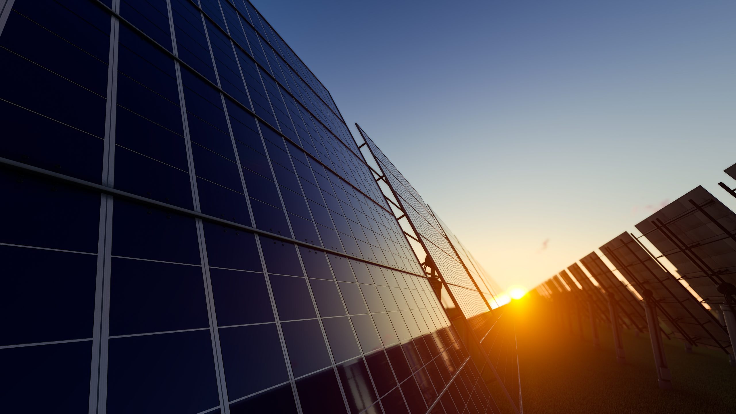 Sun Fading Between the Rows of Solar Panels